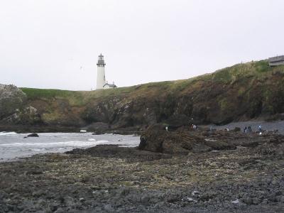 IMG_1474.jpg