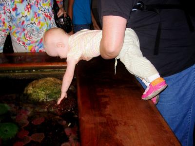 IMG_1498.jpg