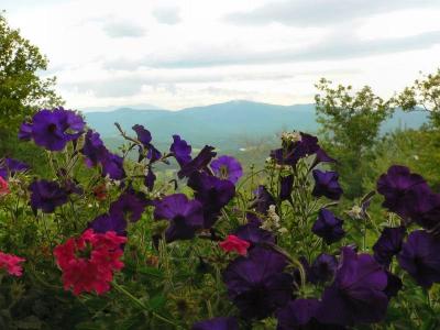 View from Apple Mountain