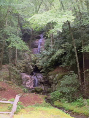 Flowing Stream