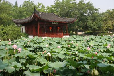 Grand Garden.jpg