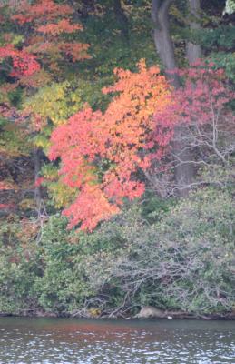 Bear Mountain