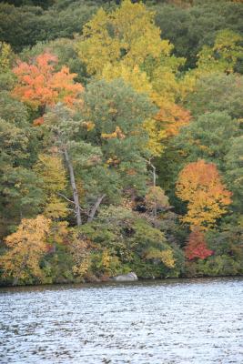 Bear Mountain