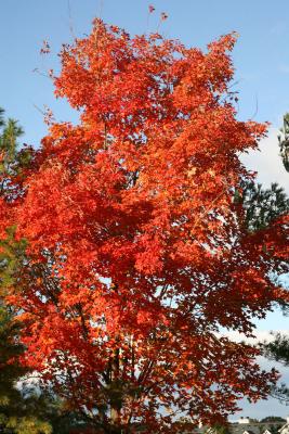 Franklin Park, NJ