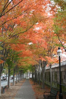 Princeton