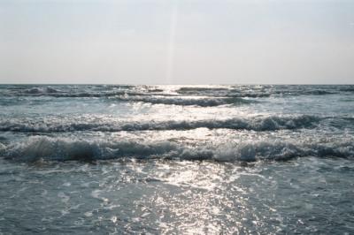 AAA003A.JPG