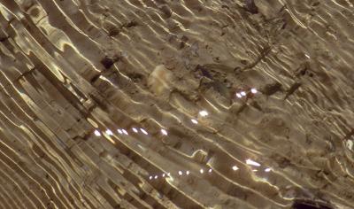 10-9 ripples-tiff-psd.jpg