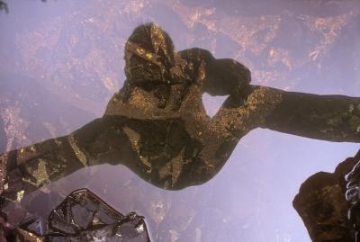 Reflection of photographer over pool