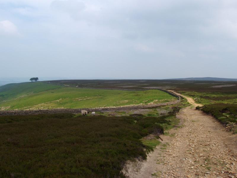 Pikestone Fell