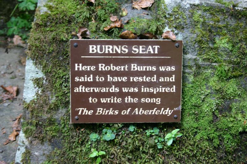 Burns seat
