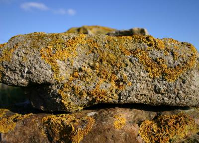 Dry stone wall close up.