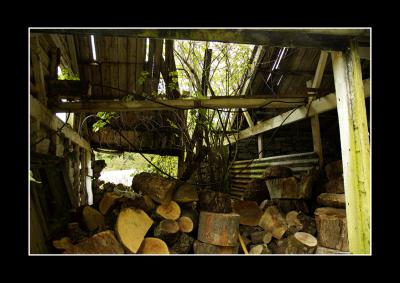 v3/61/527061/3/48118286.derelict_4.jpg
