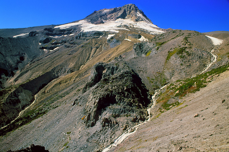 Gnarl Ridge study