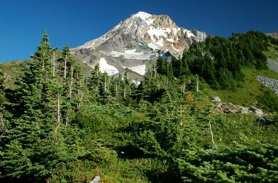 Mount Hood from McNeil Point Trail