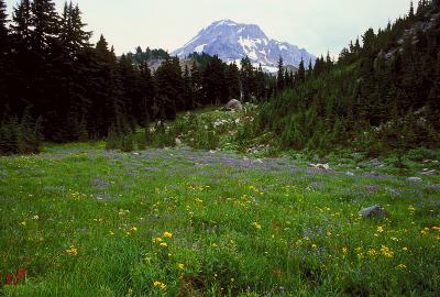 Cairn Basin, Study 1