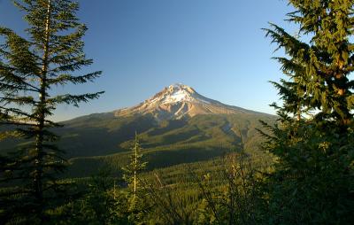 Mount Hood from TDH Trail, Study 1