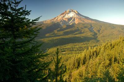 Mount Hood from TDH Trail, Study 2
