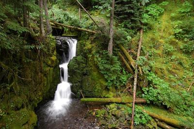 Lost Creek Falls, Study 1