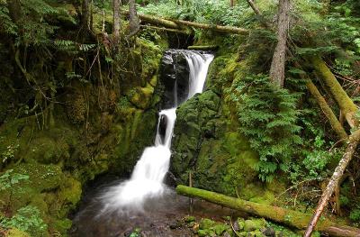 Lost Creek Falls, Study 3