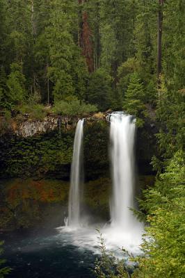 Koosah Falls, Study 2