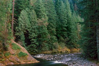 Salmon River, 2003 #2