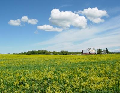 Farm on Happy Hollow Rd