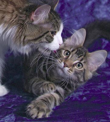 mom! She's licking me!