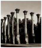 Windsor Ruins--Port Gibson, Mississippi