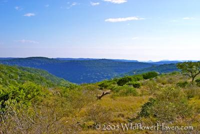 Top of The Hill Country