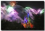 Wishes colors