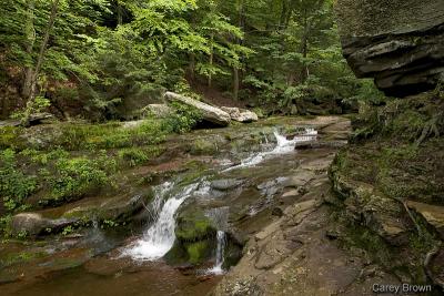 Kaaterskill Falls