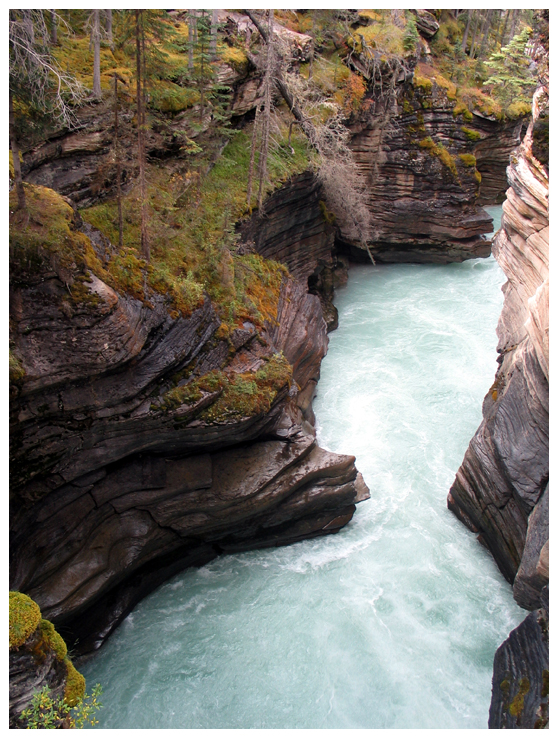 Athabasca Falls