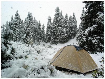 Boulder Creek Campsite