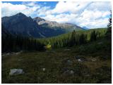 Cavell Meadows