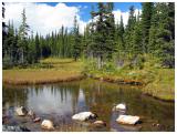 Sub Alpine Pond
