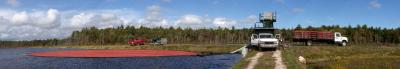 cranberry harvest pano.jpg