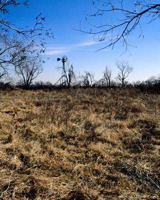 Dead Winter Windmill - Quincy Kansas