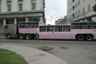 Cuban Camel Bus