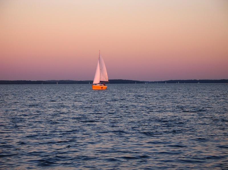 Pink Loneliness