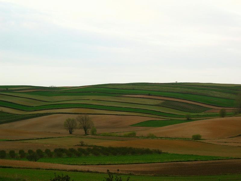 Western Roztocze in Spring