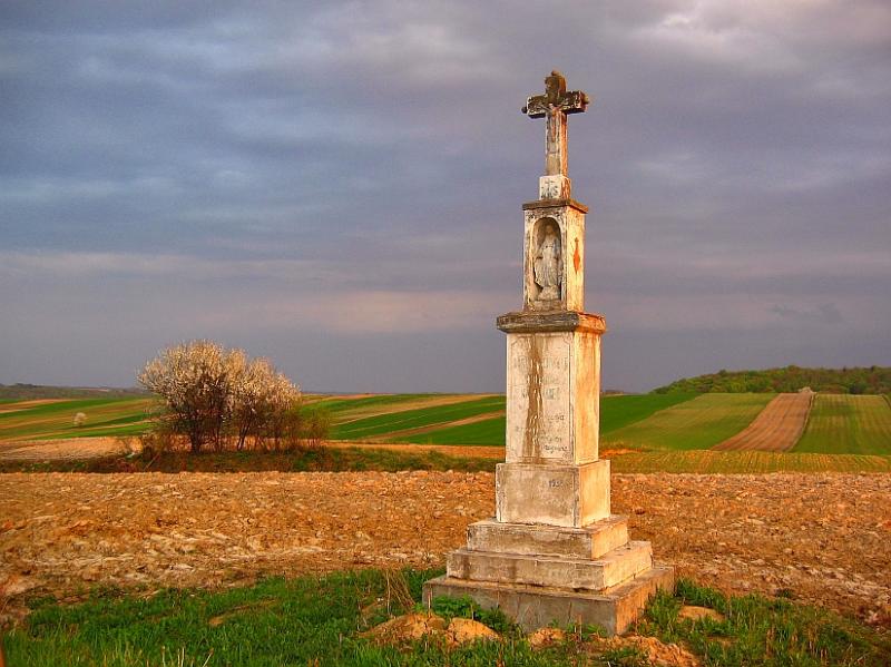 Western Roztocze