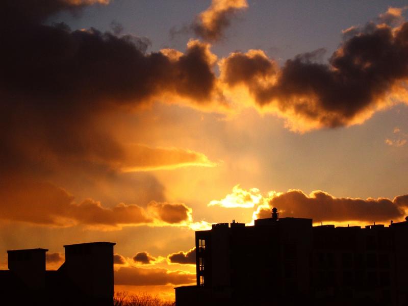 From Our Windows 2