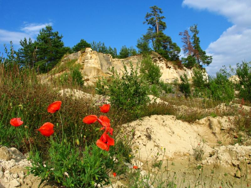 Jozefow  quarry
