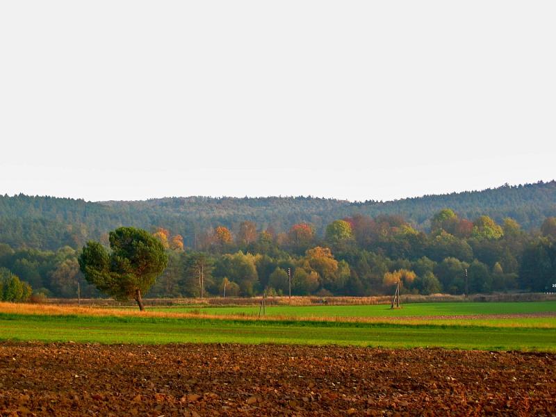 Autumn Near Werchrata