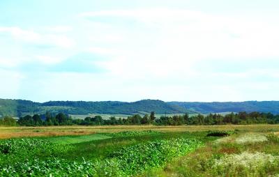 Landcsape near Zhovkva