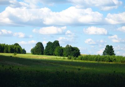 Podlasie Landscape