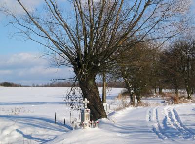 Small Cross in Zmijowiska