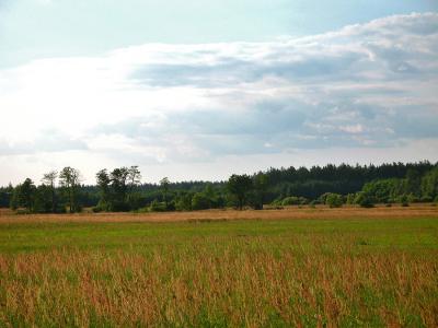 Landscape near Lubaczow