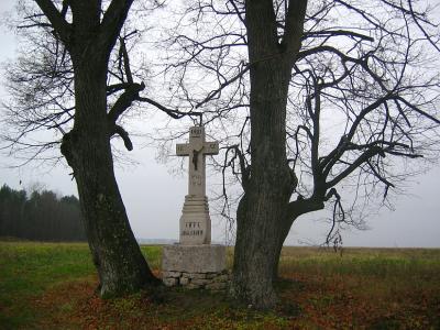 Cross In The Trees