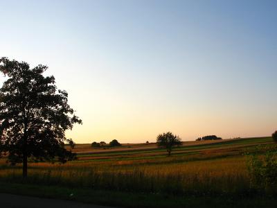 Landscape Near Ciotusza